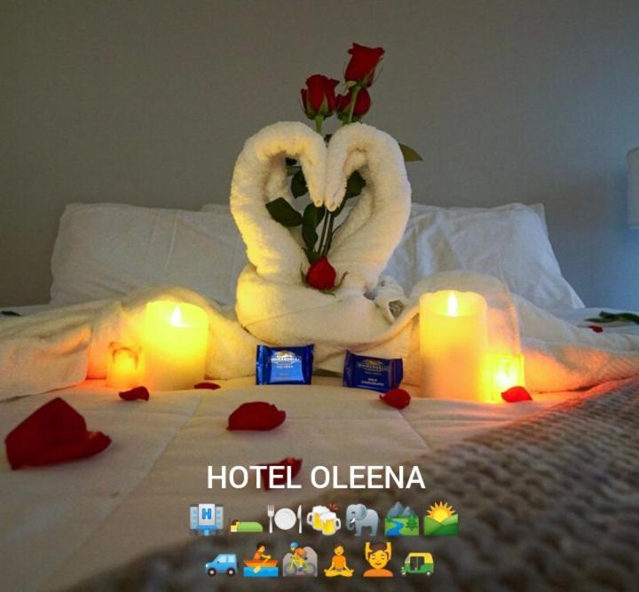 Oleena Home Stay Habarana Exterior foto
