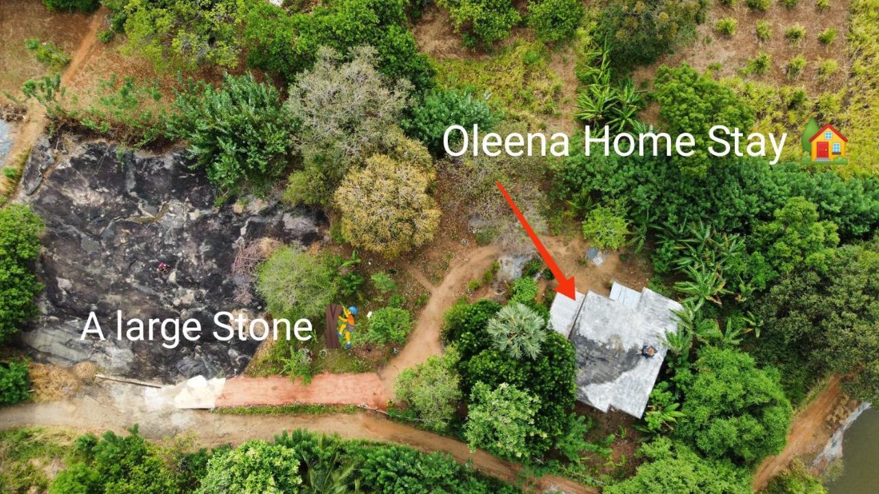Oleena Home Stay Habarana Exterior foto