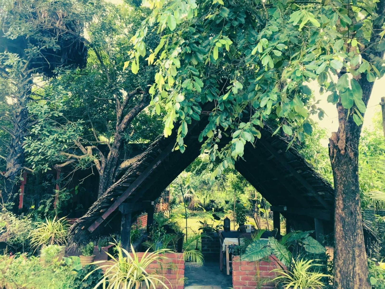 Oleena Home Stay Habarana Exterior foto