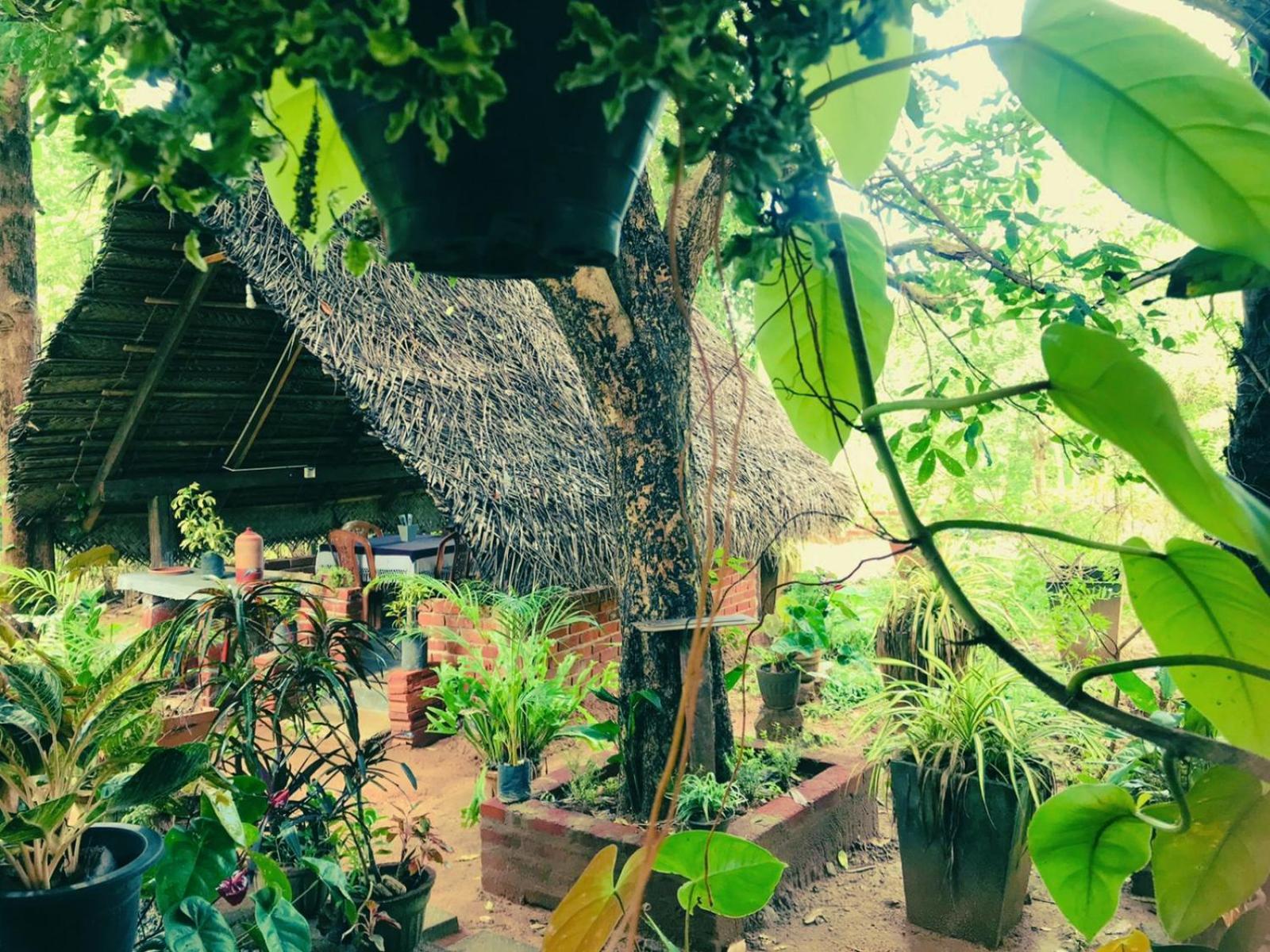 Oleena Home Stay Habarana Exterior foto